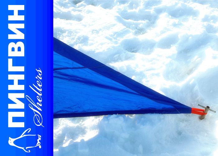 Пингвин Крыло